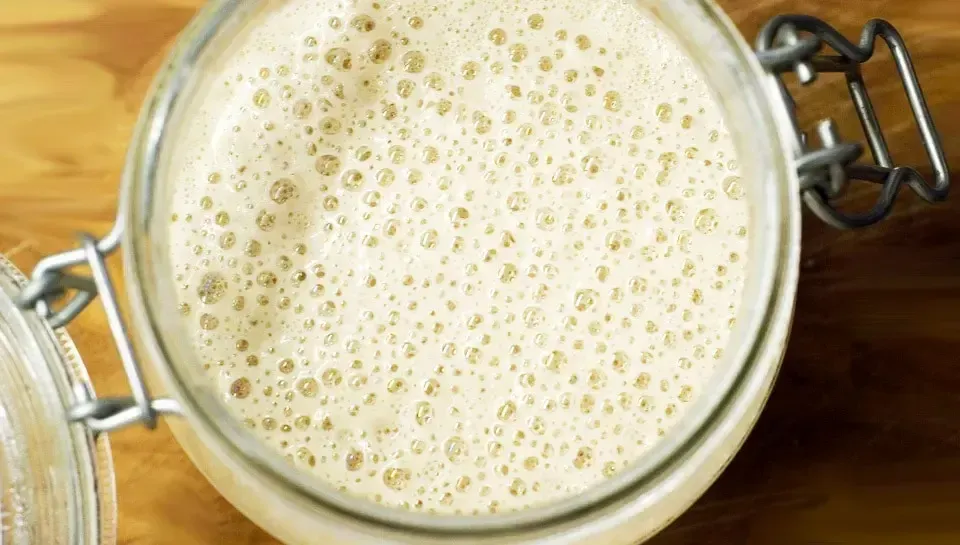 Fermentação natural: Pão mais leve e saudável